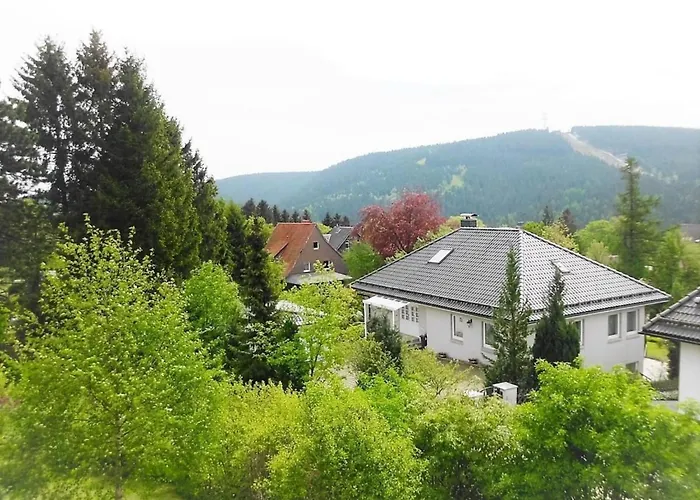Grosszuegige Mit Bergblick Im Haus Hopfe By Interhome Apartment Goslar