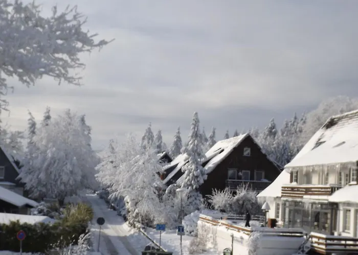 Grosszuegige Mit Bergblick Im Haus Hopfe By Interhome Apartment *