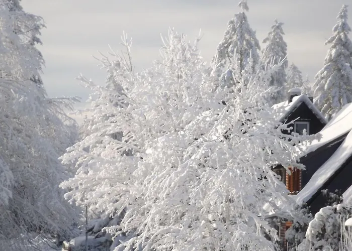 Apartment Grosszuegige Mit Bergblick Im Haus Hopfe By Interhome Goslar